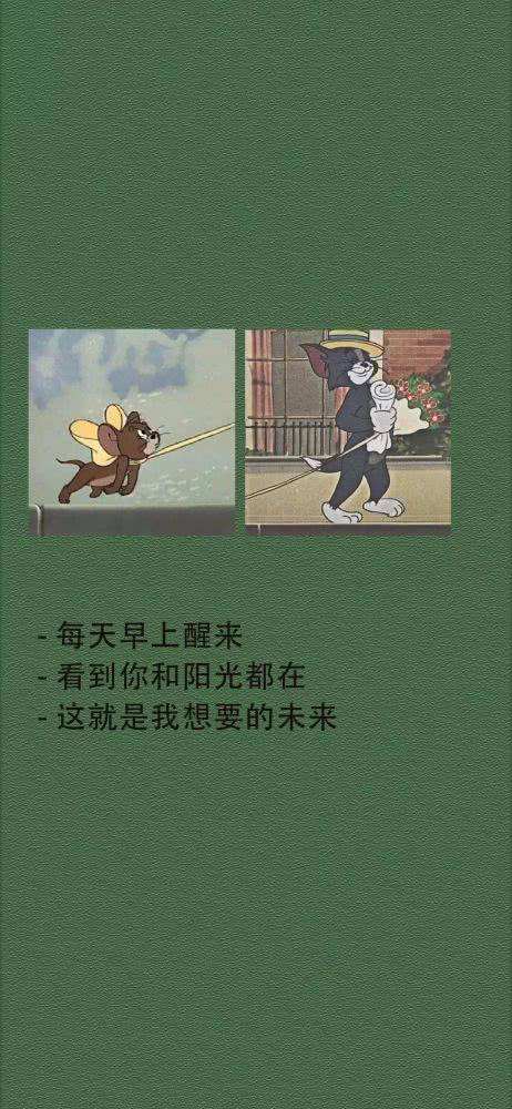 苹果13壁纸抖音简约版(壁纸苹果 抖音)