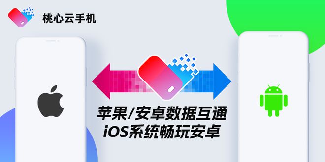 苹果分身基础版有什么区别(ios分身2021)