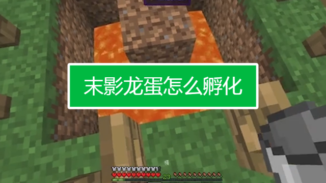 手机版孵化龙蛋的视频(孵化龙蛋的步骤)