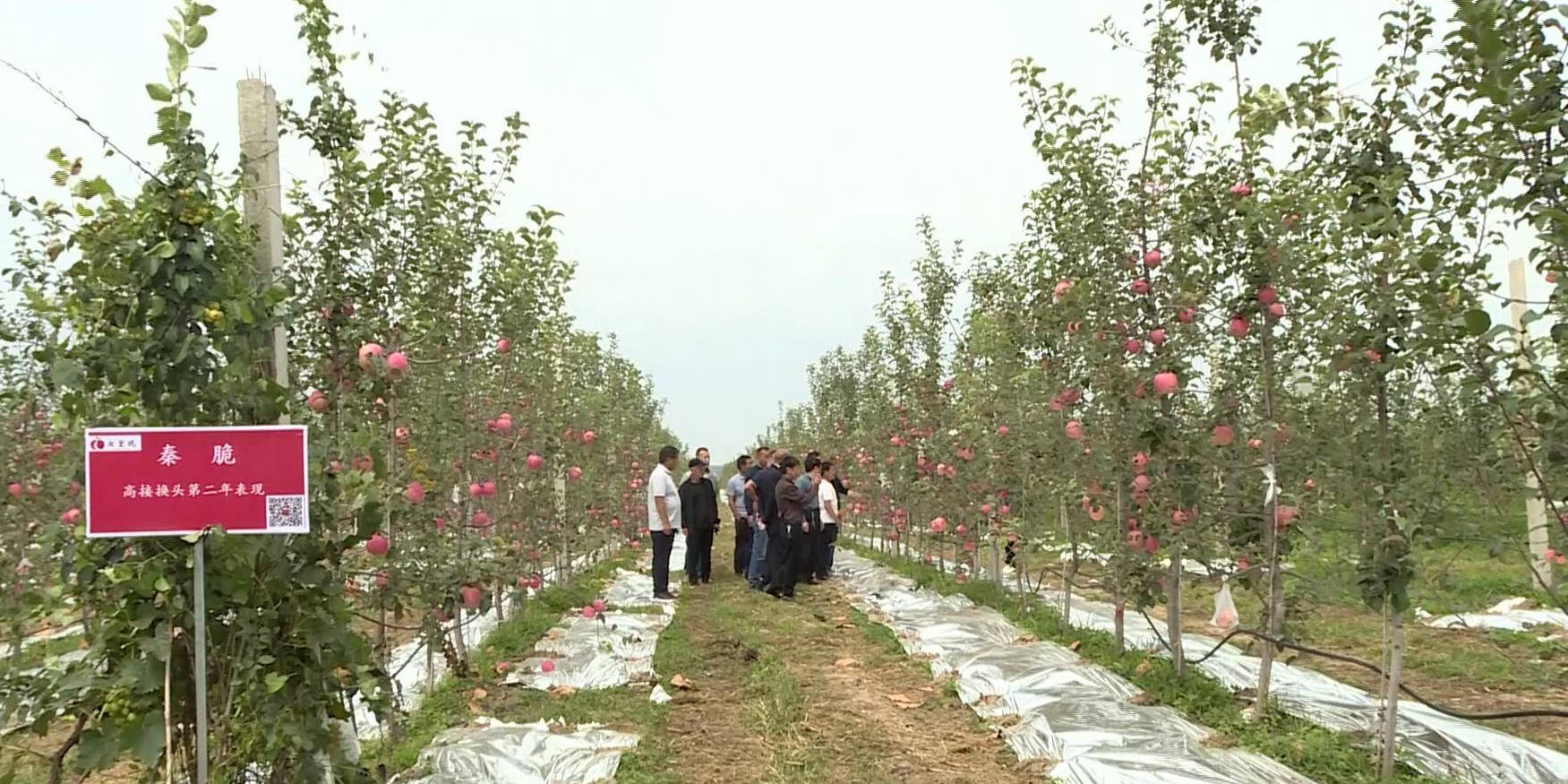优挂苹果版向僵尸开炮外挂苹果版-第1张图片-太平洋在线下载