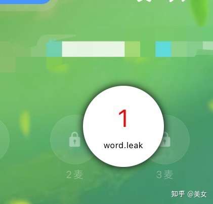 麦苹果泄露版苹果iphone系列-第2张图片-太平洋在线下载