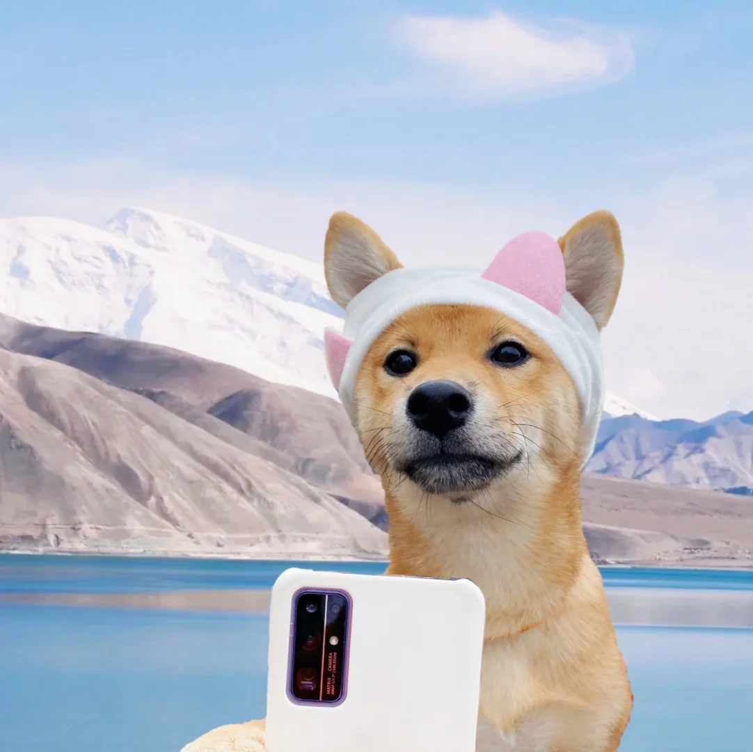 柴犬情头手机版柴犬和女孩的情头-第1张图片-太平洋在线下载