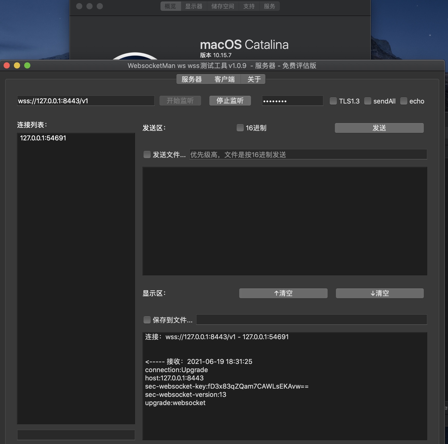 ws生成客户端失败wss网络服务启动失败-第2张图片-太平洋在线下载
