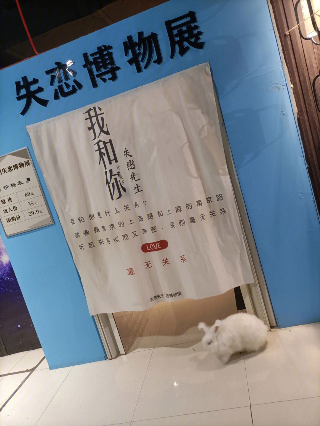 失恋展安卓版心跳文艺部安卓汉化版-第1张图片-太平洋在线下载
