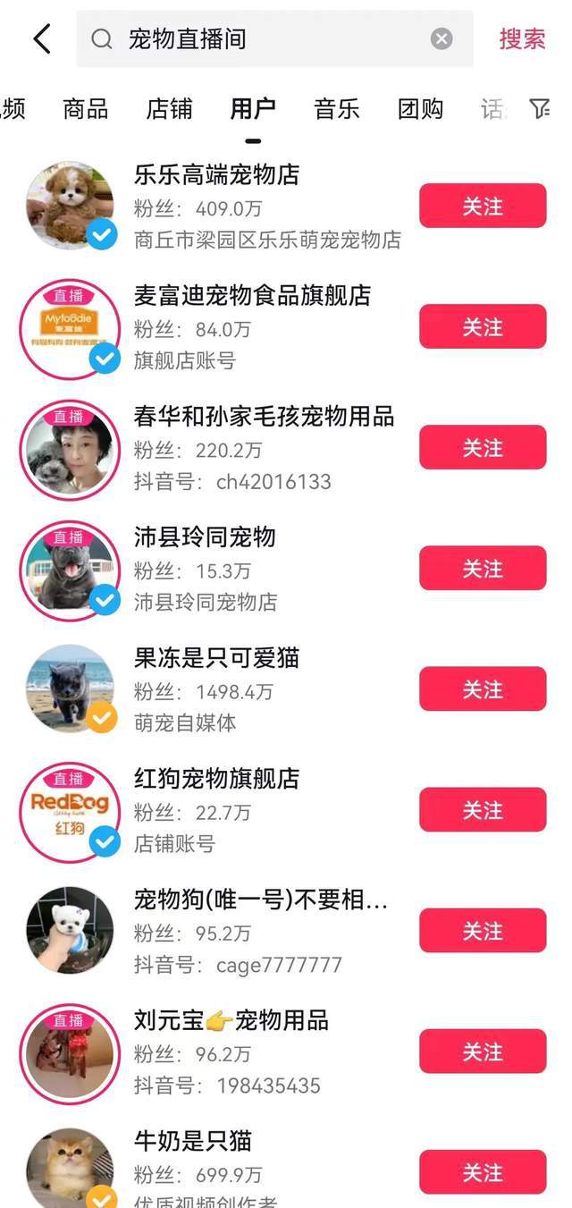 猫咪直播最新苹果版小猫直播在线观看电脑版-第1张图片-太平洋在线下载